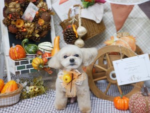 line_oa_chat_251003_191610