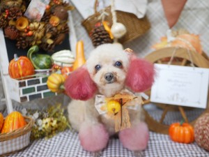 line_oa_chat_251003_191726