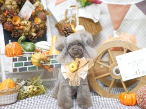 line_oa_chat_251003_192726