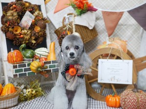 line_oa_chat_251003_192729