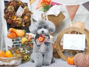 line_oa_chat_251012_195729