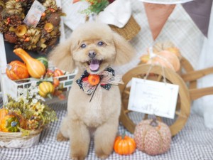 line_oa_chat_251012_195733