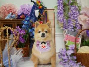 4077
