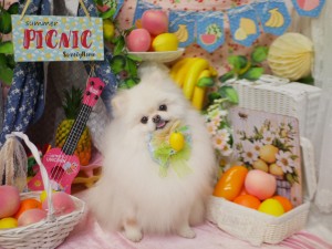 4160