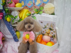 4190