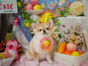 4192