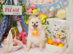 4238