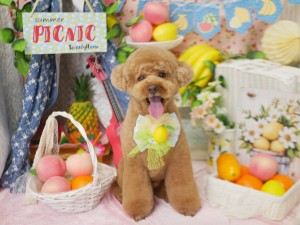 4241