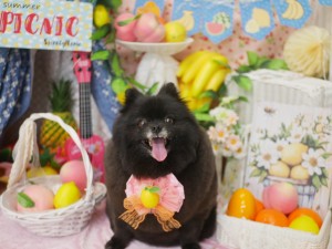 4333