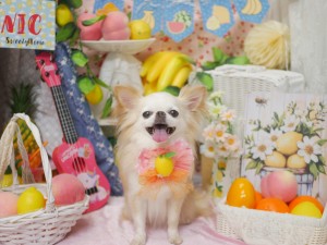 4346