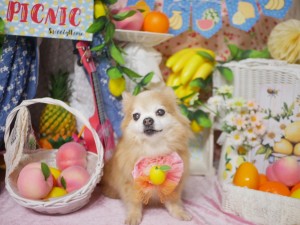4446