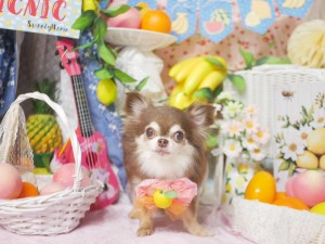 4468