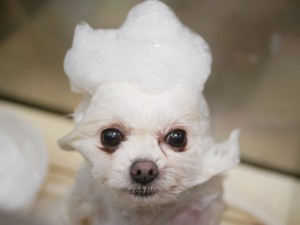 4476