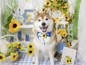 4515