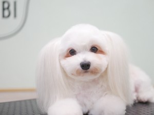 4596