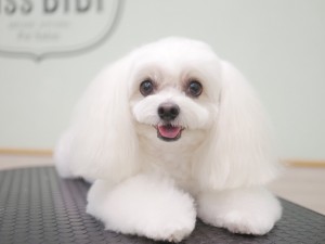 4605