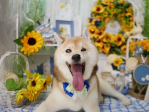 4640