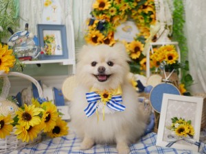 4706