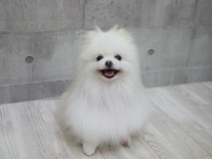4788