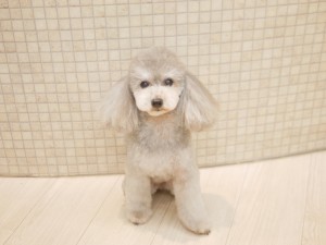 4803