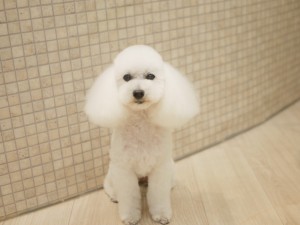 4812