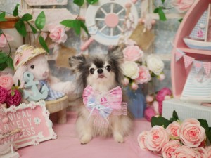 4918