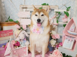 5018