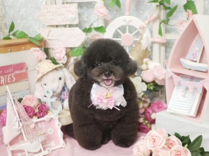 5040