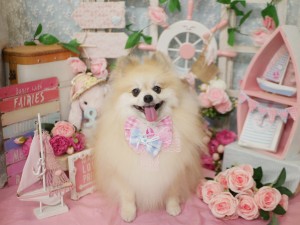 5067