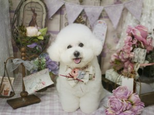 5312