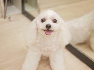 5357