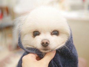 5372