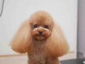 5446