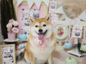 5478