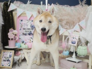 5555