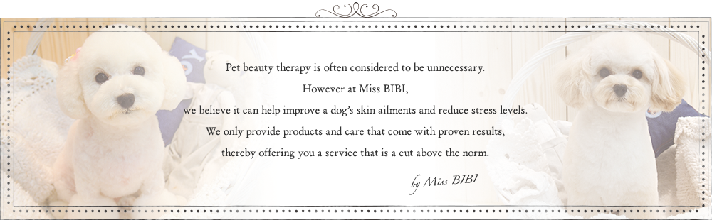 Pet beauty therapy is often considered to be unnecessary. However at Miss BIBI, we believe it can help improve a dog’s skin ailments and reduce stress levels. We only provide products and care that come with proven results, thereby offering you a service that is a cut above the norm.