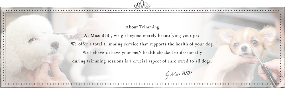 About Trimming At Miss BIBI, we go beyond merely beautifying your pet. We offer a total trimming service that supports the health of your dog. We believe to have your pet’s health checked professionally during trimming sessions is a crucial aspect of care owed to all dogs.